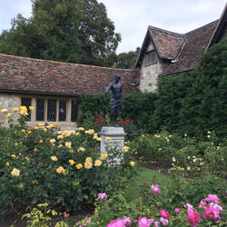 The Rose Garden