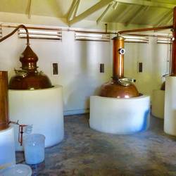 Fermentieren und destillieren