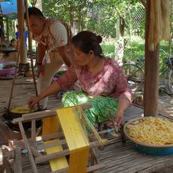 Spinning the cocoons into silk.