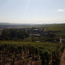 Blick zurück auf Chablis und Milly