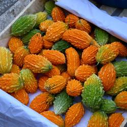 Indische Granatäpfel