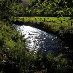 Stram behind my pitch