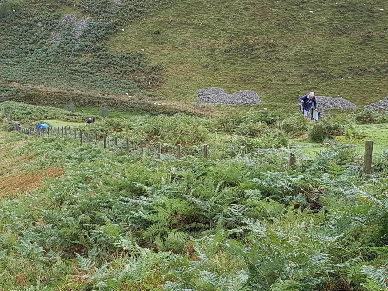 Mach loop plane spotters