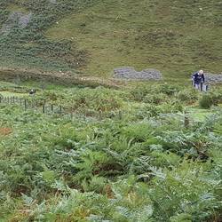 Mach loop plane spotters