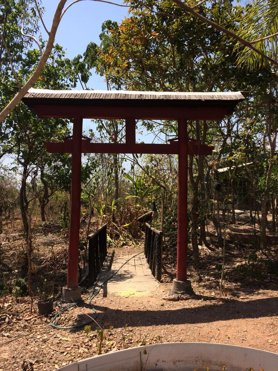 An authentic torii gate in the cerrado!