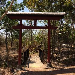 An authentic torii gate in the cerrado!