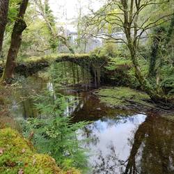 Ivy bridge ovwr Afon Peysor