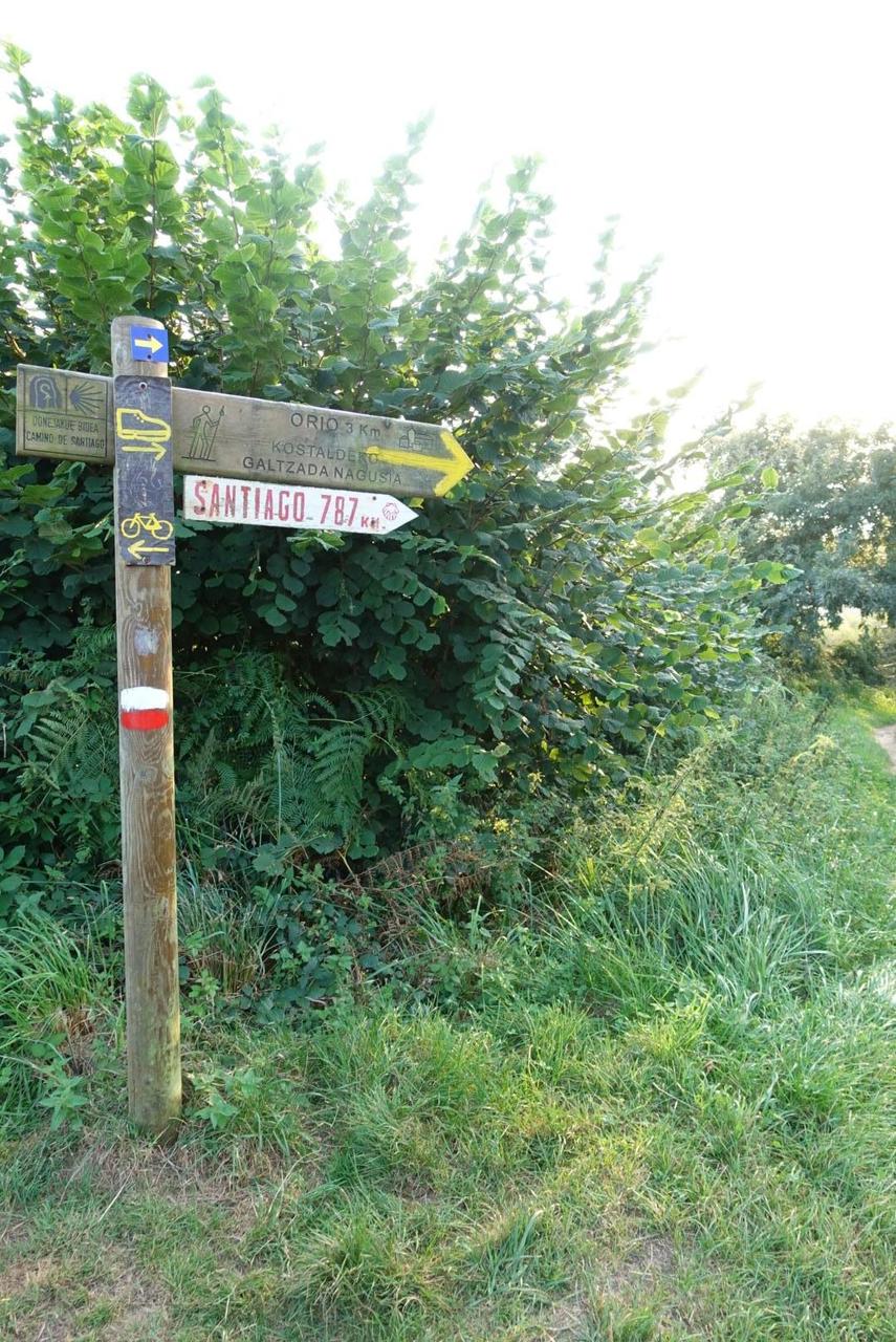 Wegweiser sehen unterschiedlich aus, manchmal leicht, manchmal schwer zu finden. Bin hier schon fast 100 km ge