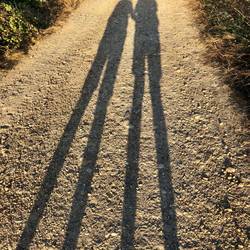 Long shadows - art shot!
