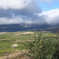 View of Rioja vineyards from Laguardia