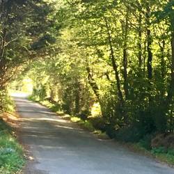 Road between Glendalough and Waterford