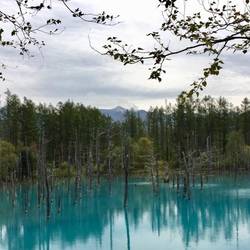Blue Pond