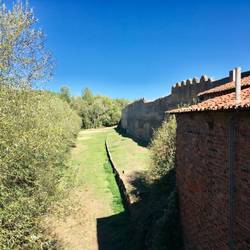 Walls of Mansilla de las Mulas