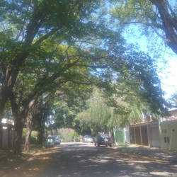 Frühling in meiner Straße
