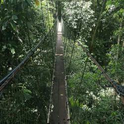 Hängebrücke