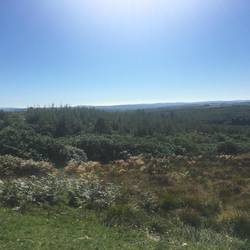 On the way to Clogheen