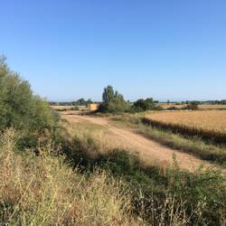 Countryside this morning