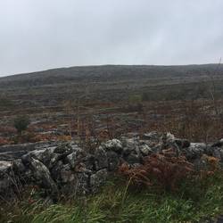 The Burren