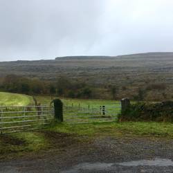 The Burren