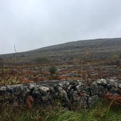 The Burren