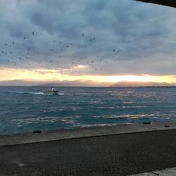 Früh morgens kommen die Fischer zurück