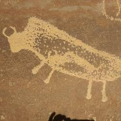 Pregnant bison petroglyph