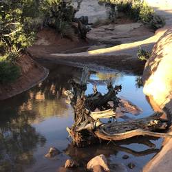 Wasser - eine Seltenheit