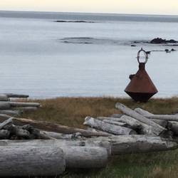 Take me to your leader