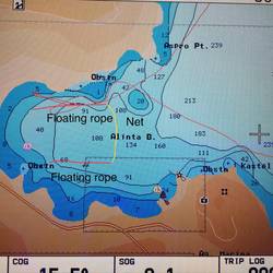 Annotated picture of the anchorage and the net