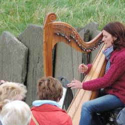 Irish Harpist at Cliffs of Mohr