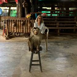 A portrait with a pig-tailed macaque, which was the star performer.