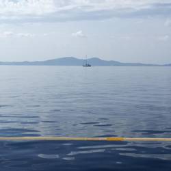 4 Bft. aus S war angesagt, 1 Bft. N haben wir bekommen