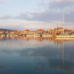 Gentle light across the marina starts the day