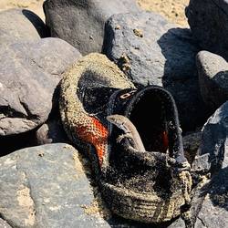 Besucher bei mir am Strand