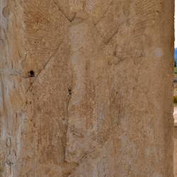 Das geflügelte Wesen, leider bei Gegenlicht