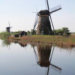 Reflections on the Polder