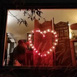 Neugieriges Tier am Fenster - Wir fühlen uns beobachtet ;)