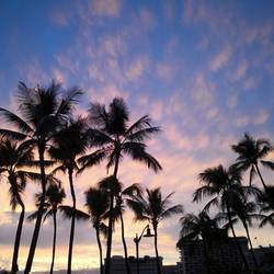 Sonnenuntergang am Waikiki Beach