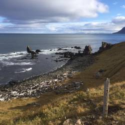 Down the shore from Krossneslaug.