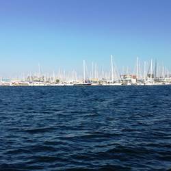 Mastenwald an Land zu dem die Patagon auch bald gehören wird