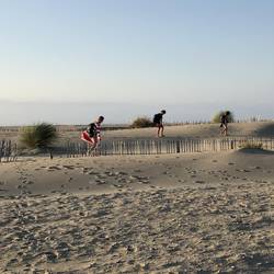 Espiguette sand dunes