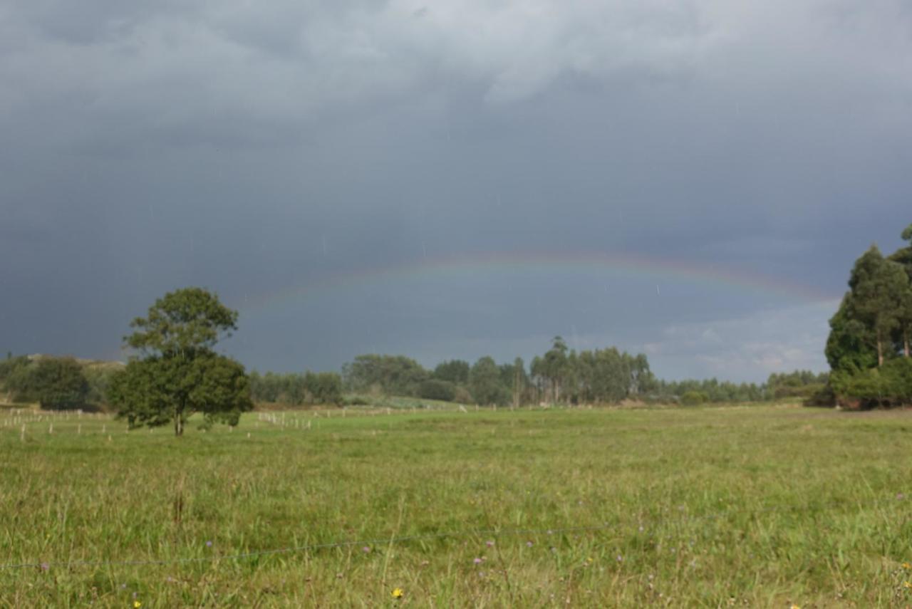 Regenbogen ❤gute Erinnerung für das Versprechen Gottes an uns Menschen