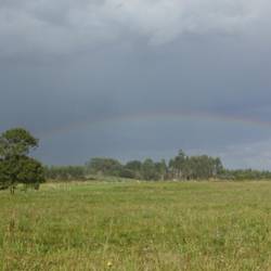 Regenbogen ❤gute Erinnerung für das Versprechen Gottes an uns Menschen