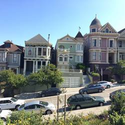 Painted Ladies