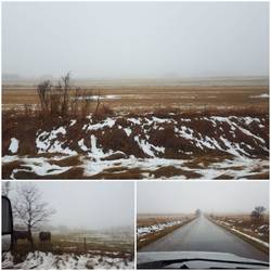 Elk Island Retreat am Morgen