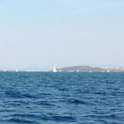 Bei bestem Wind sind noch überraschend viele Segler unterwegs