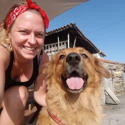Hunde sind ja eigentlich nicht so meine Freunde...einige sind ganz süß.