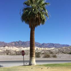 Death Valley