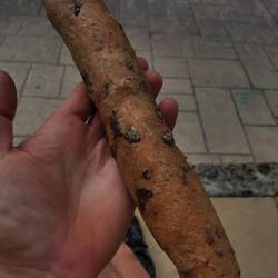 Wie der Franzose sagt: No pain no gain! (Kein Brot, kein Essen oder so)