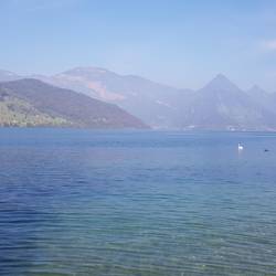 Velofahrt an den See